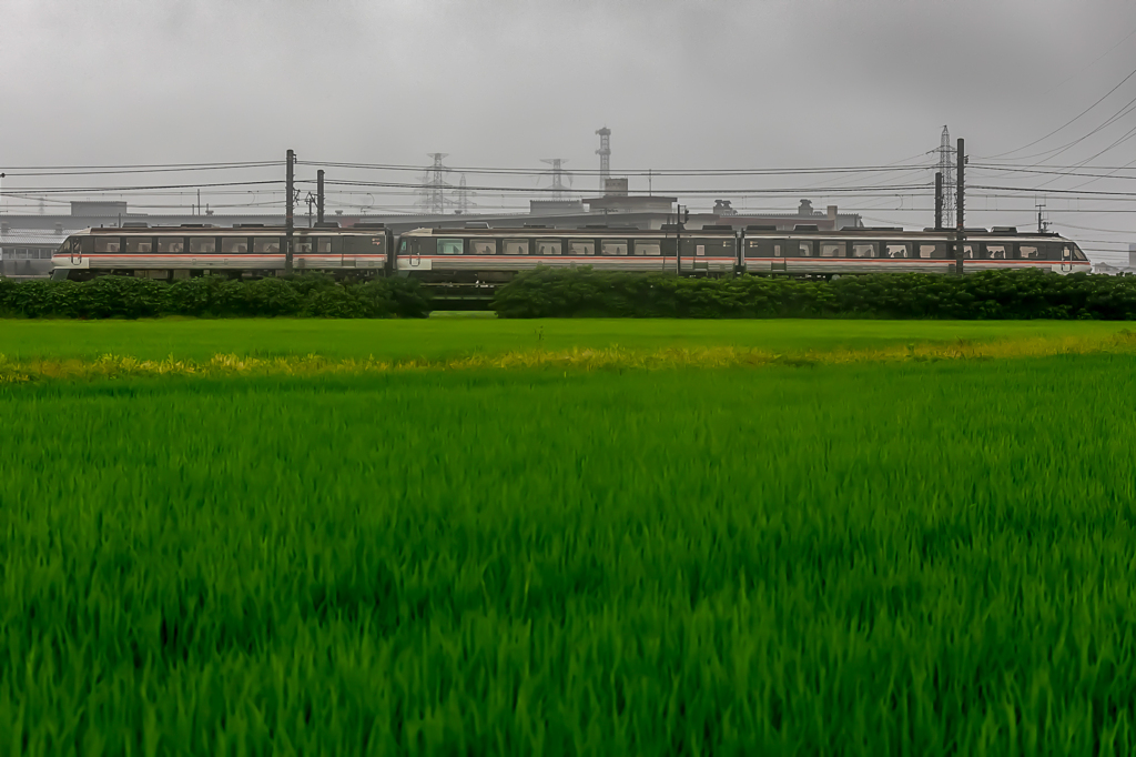 雨の畦道より特急南紀