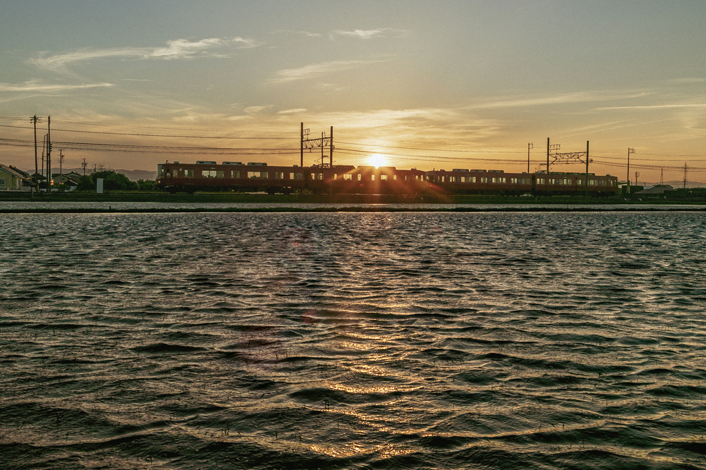 今週の水田夕景