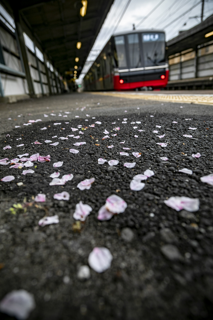 お別れの予感