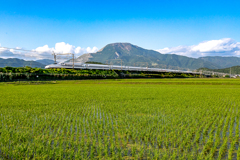 伊吹山の麓を行く