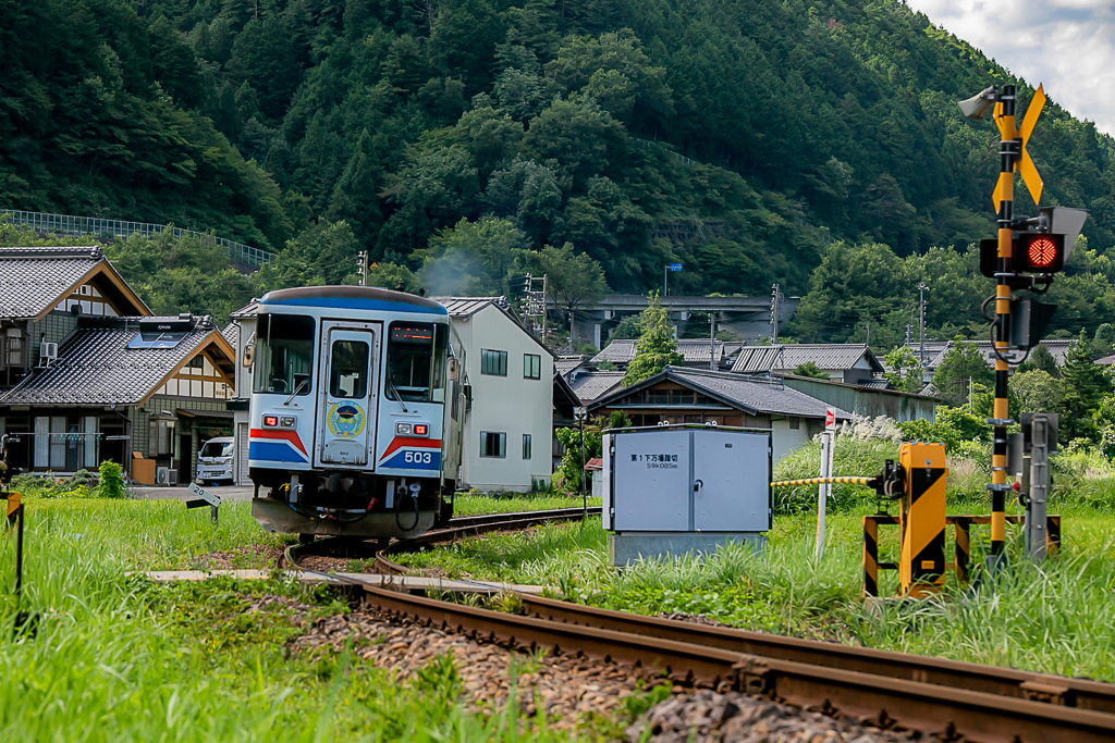長良川鉄道　緑を行く