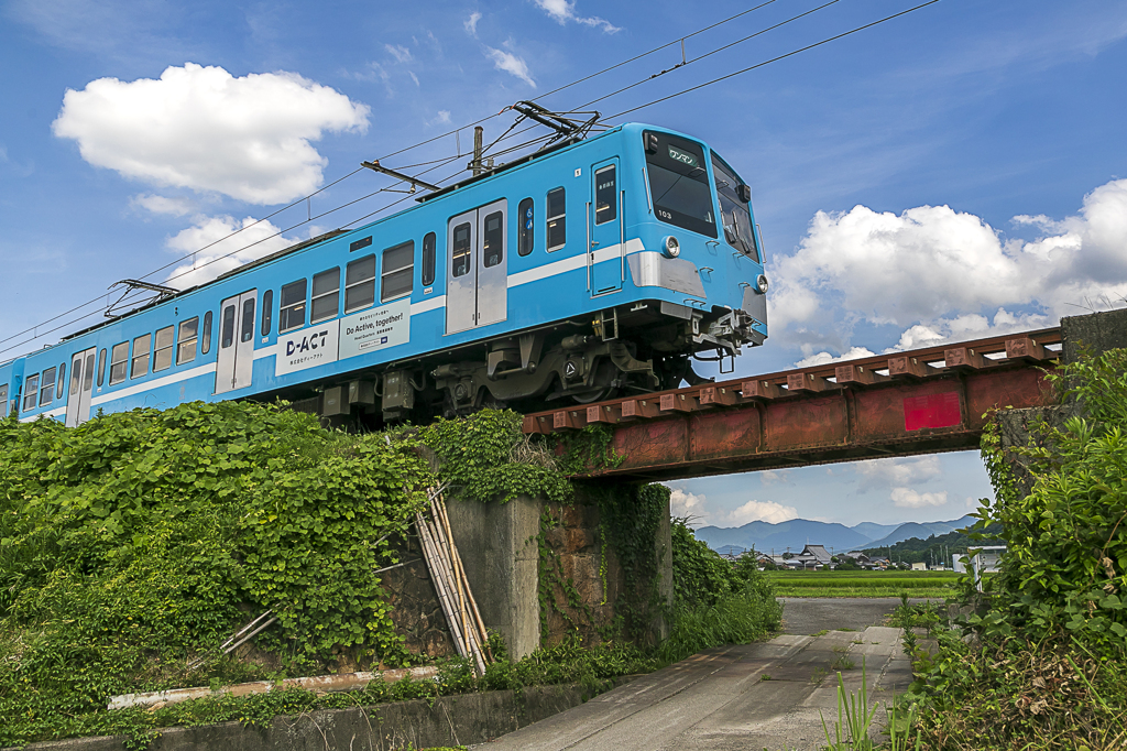 この夏の思い出①