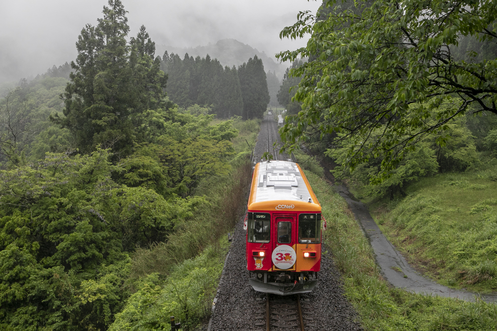 樽見鉄道 潤景