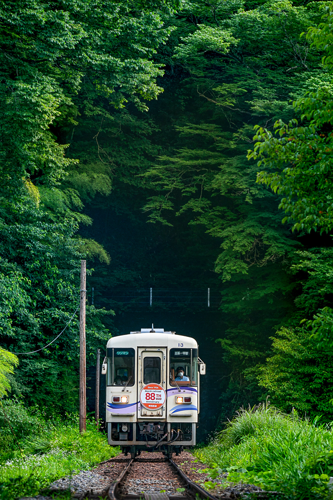 深緑の明智鉄道