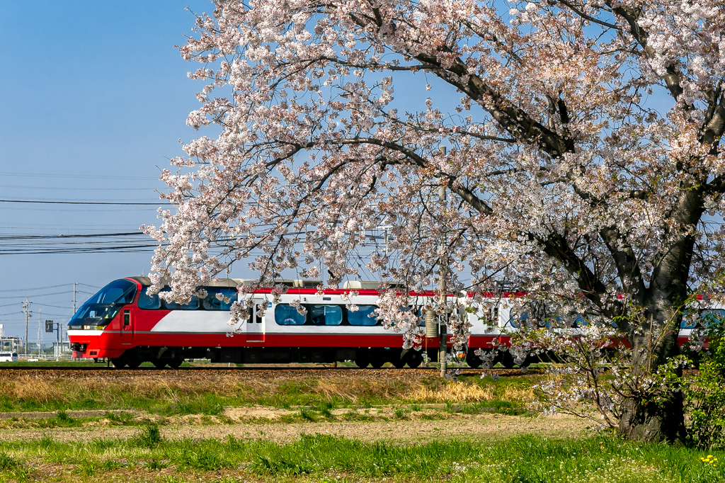 花のれん　パノラマスーパー