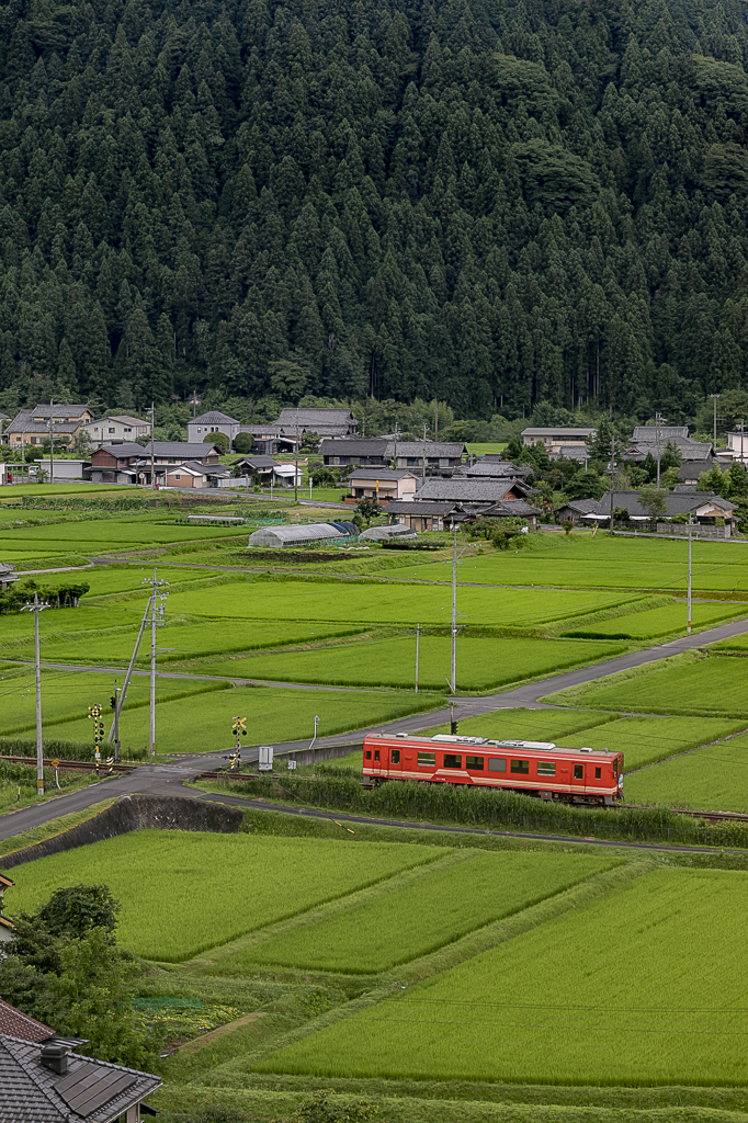 7月の緑を行く明智鉄道②
