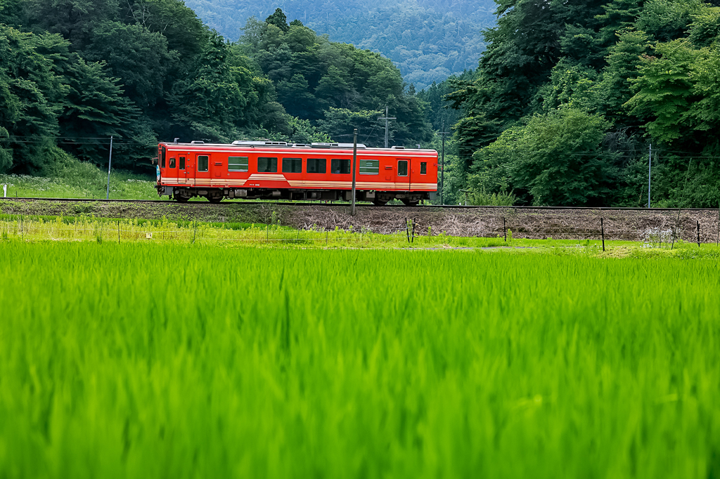 そうだ田舎に行こう