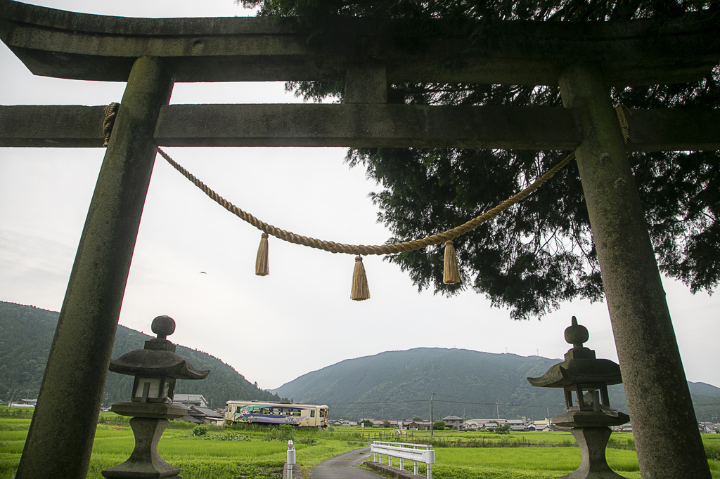 曇り空、鳥居の下で