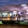 通勤電車は花見席