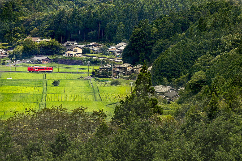 7月の緑を行く明智鉄道①