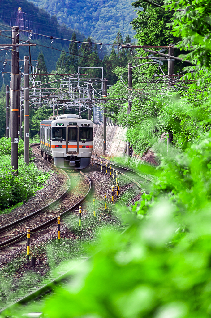 夏の鉄路