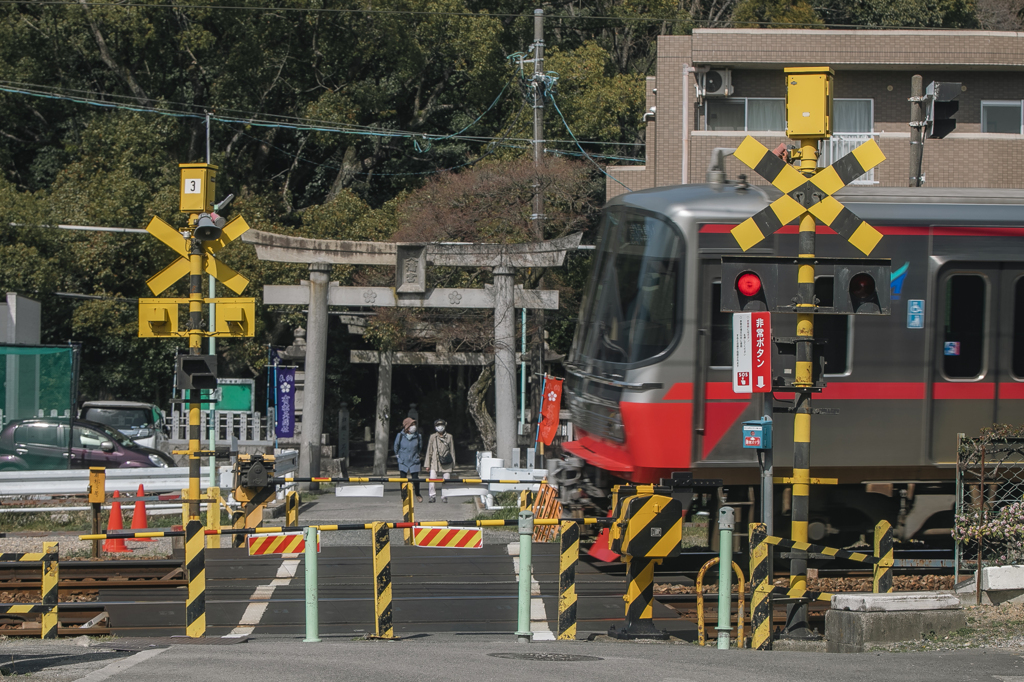 いつもの通り道①