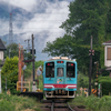 雨降ると行きたくなる樽見鉄道