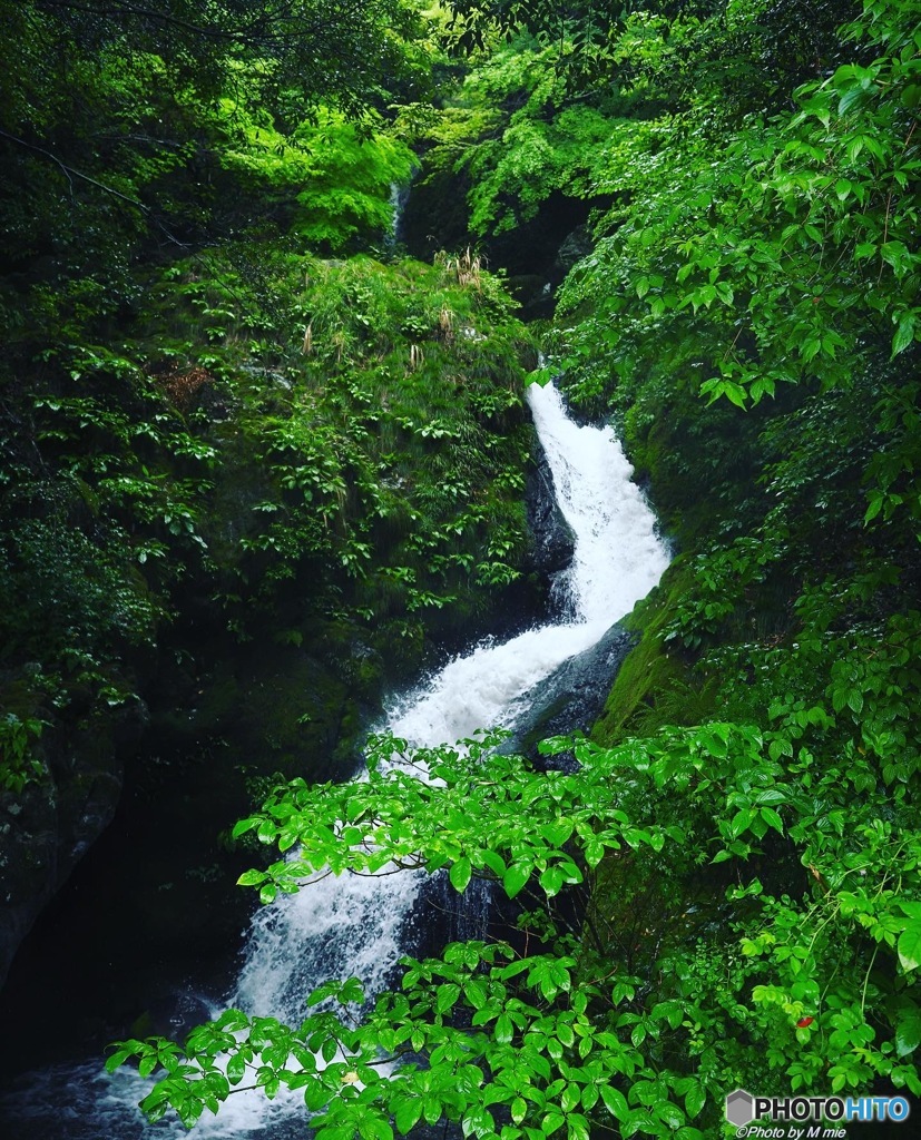 徳島県 上勝町にて