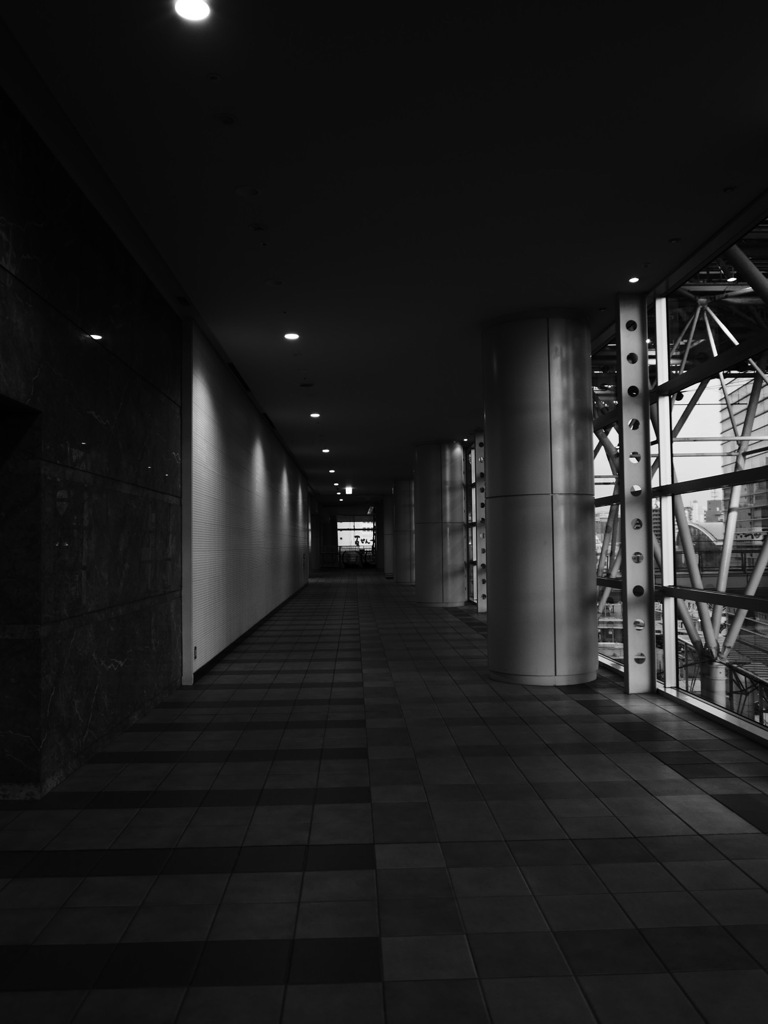 S__36561028