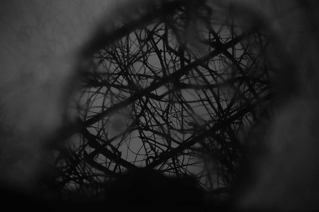 Gray Reflection