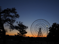 夕焼けと、観覧車