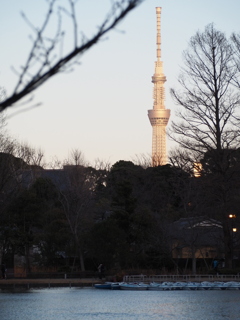 上野からのスカイツリー