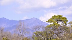 乾徳山 万力公園 山梨市 山梨県  DSC0013