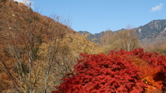 紅葉 破風山 道の駅 三富 山梨市 DSC06108