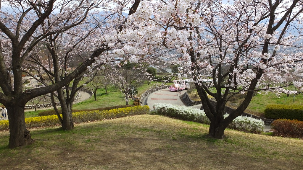 山梨県笛吹川フルーツ公園 山梨市 山梨県