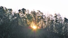 朝開け 塩山ふれあいの森総合公園 甲州市 山梨県 DSC08225