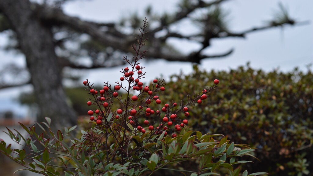 甲州市塩山藤木 山梨県 DSC_0031
