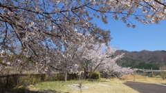 道の駅花かげの郷まきおか 牧丘町 秩父多摩甲斐国立公園 山梨市 山梨県