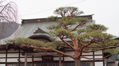 法正寺 甲州市 塩山中萩原 山梨県 DSC00394