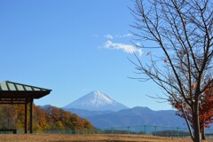 富士山 双葉水辺公園 甲斐市 山梨県 DSC_0027