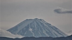 富士山 塩の山 甲州市塩山ふれあいの森総合公園 山梨県 DSC_0781