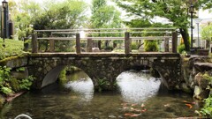 花 ハーブ庭園夢日記 甲州市 山梨県 DSC03092