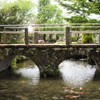 花 ハーブ庭園夢日記 甲州市 山梨県 DSC03092