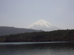 富士山  本栖湖　山梨県　