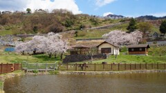 日本の風景 水辺公園 勝沼小佐手 甲州市 山梨県 DSC02126