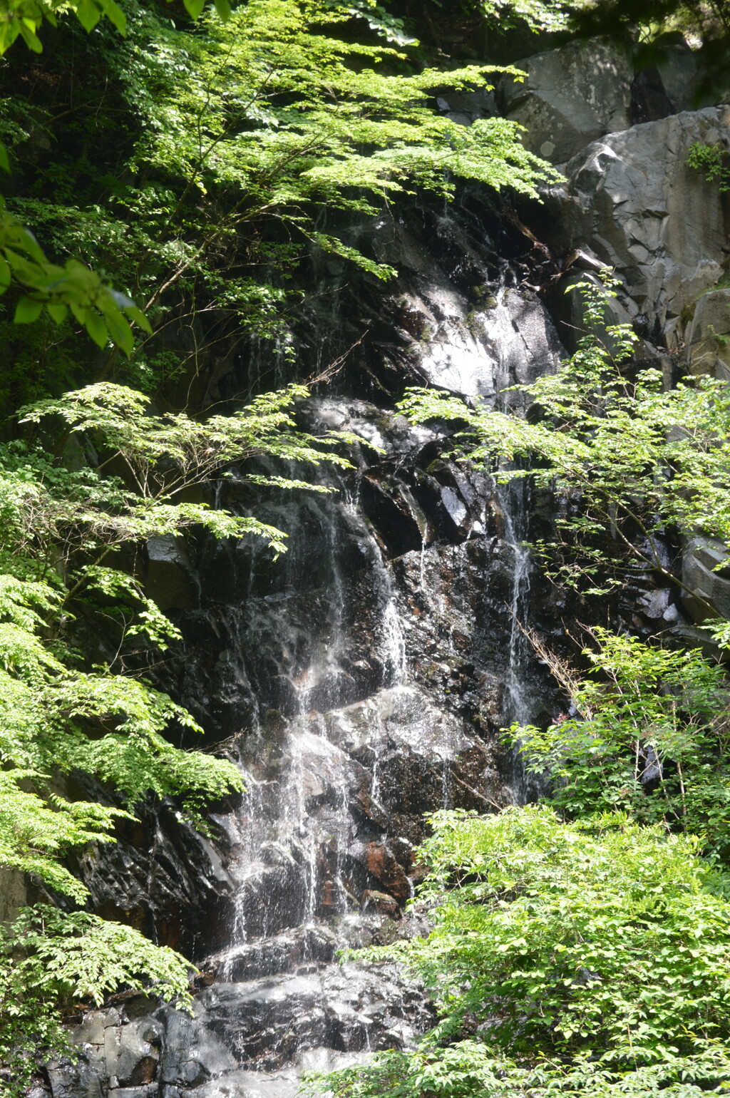 名瀑一之釜　釜沢滝