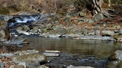 乾徳山登山口 徳和川 秩父多摩甲斐国立公園 山梨市 山梨県 DSC_0087