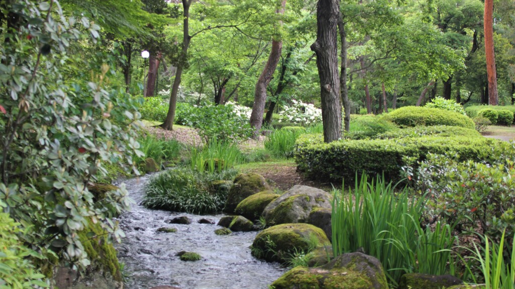 木 万葉の森 山梨市 山梨県 IMG_4010 (2)