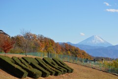 富士山 双葉水辺公園 甲斐市 山梨県 DSC_0026