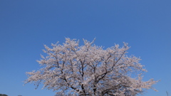 牧丘町窪平 秩父多摩甲斐国立公園 山梨市 山梨県