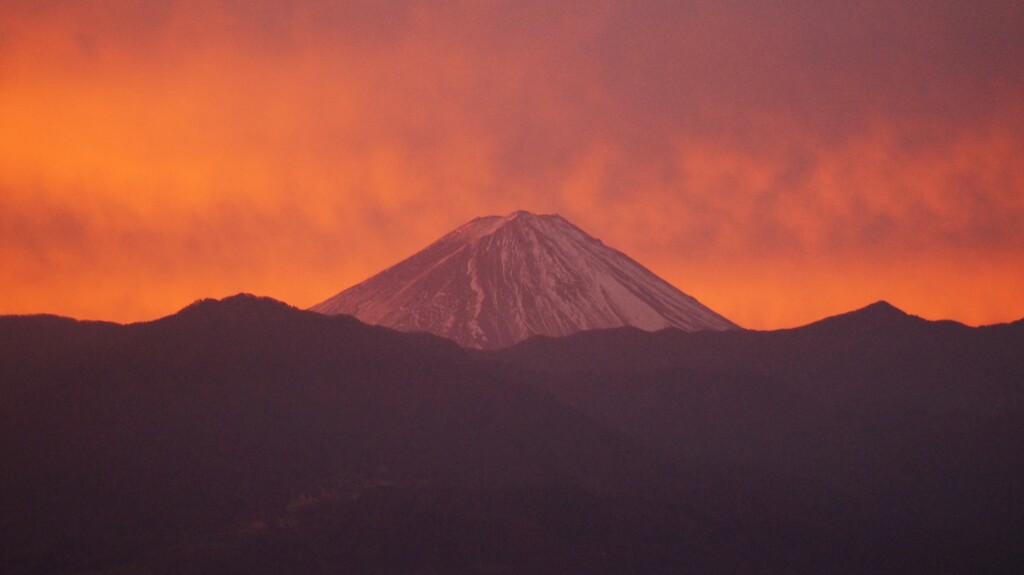 富士山 笛吹川フルーツ公園 山梨市 山梨県 DSC04620