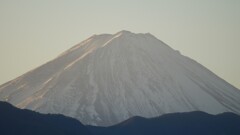 富士山 笛吹川フルーツ公園 山梨市 山梨県 DSC04332