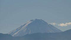 富士山 フルーツ公園 山梨市 山梨県 DSC06354