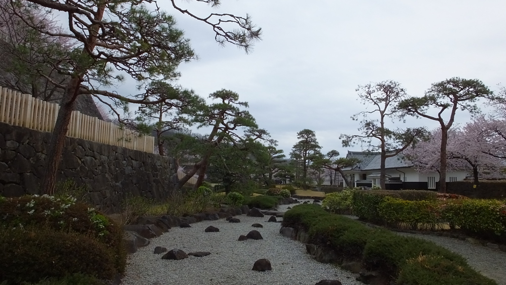 舞鶴城 櫻 甲府市 山梨県