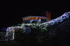 ぶどうの丘 甲州市勝沼 山梨県DSC_0017