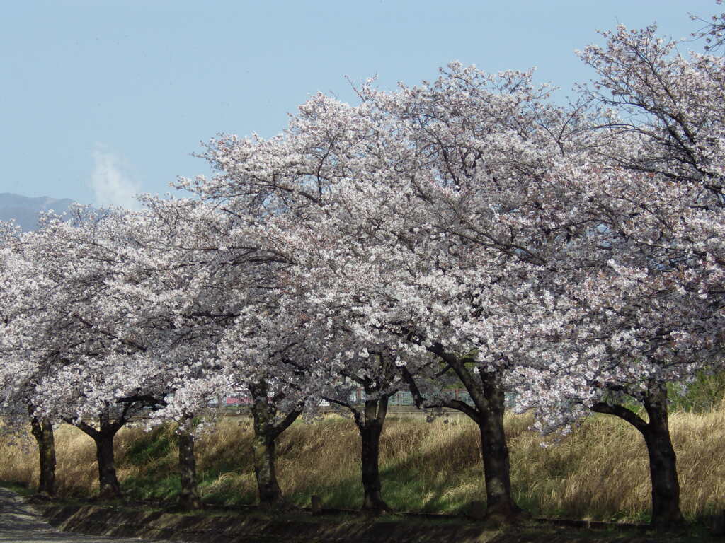 FMFUJI 山梨県甲府市川田町アリア