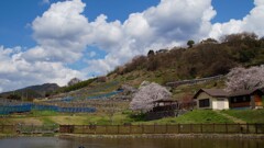 水辺公園 勝沼小佐手 甲州市 山梨県 DSC02116