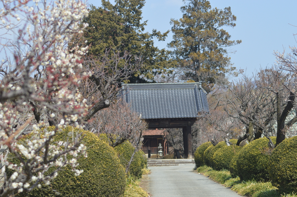 清白寺 国宝清白寺 夢窓国師開山 足利尊氏開基 山梨市　山梨県