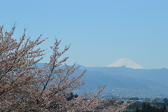 牧丘町窪平 秩父多摩甲斐国立公園 山梨市 山梨県