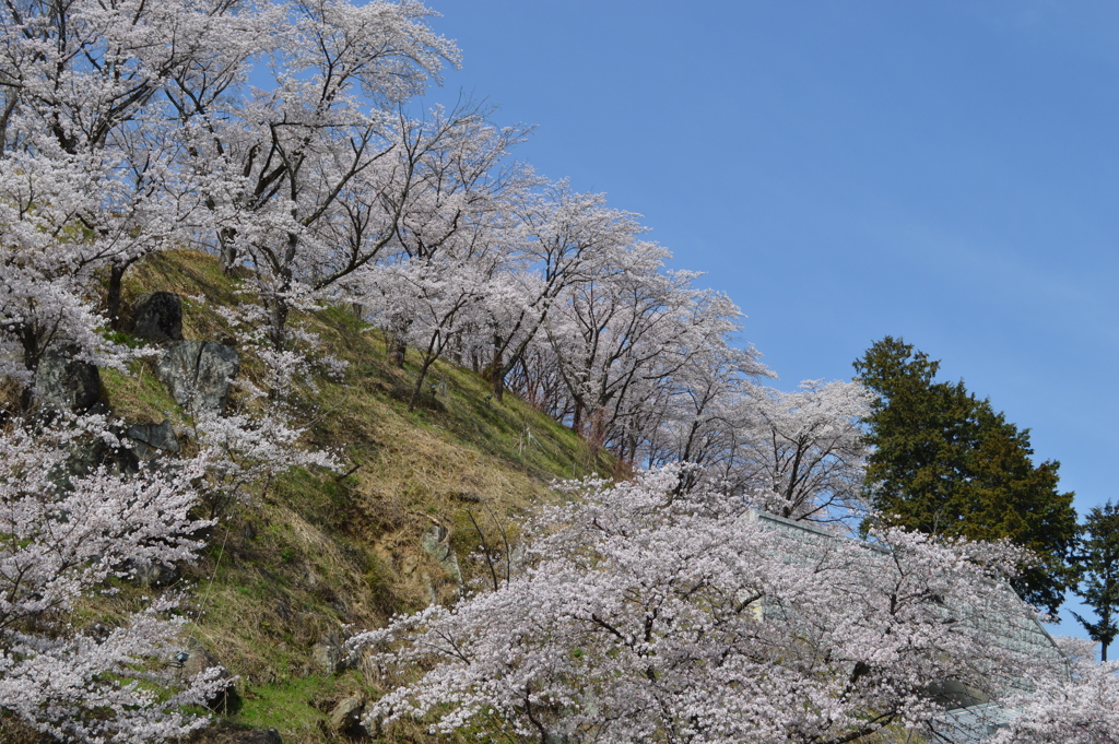 西関東連絡道路 岩手 櫻 山梨市 山梨県